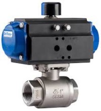DelVal Series Valve
